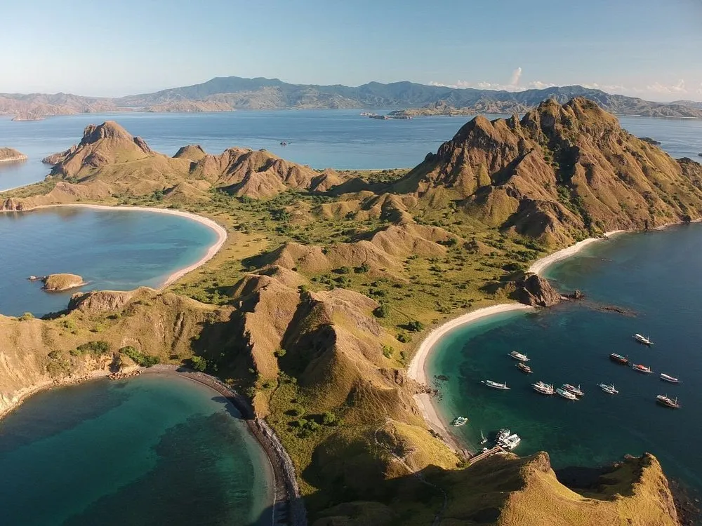 Where the Ocean Meets Adventure
